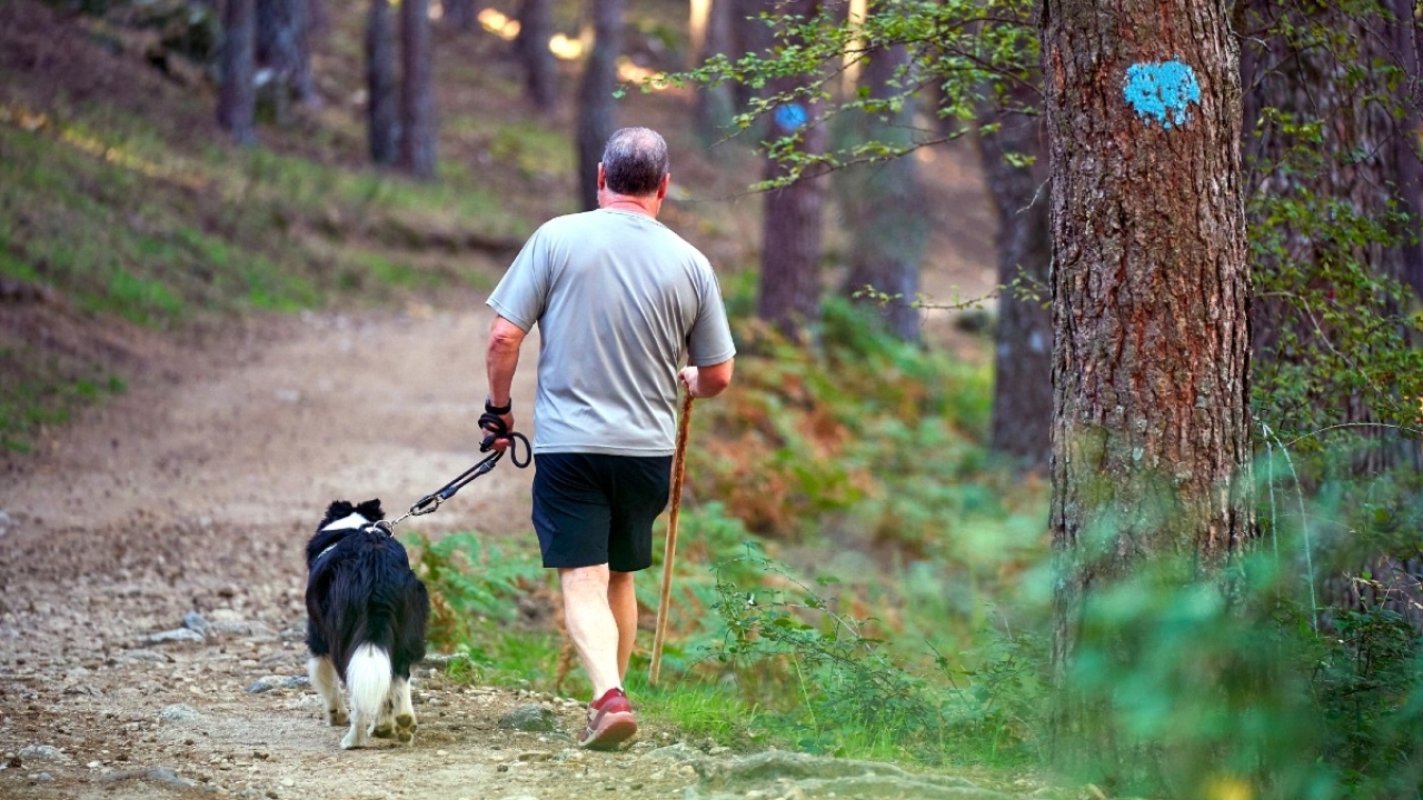 XIII Festival de Cine y Naturaleza «Valle de La Fuenfría» XIII Festival de Cine y Naturaleza «Valle de La Fuenfría»