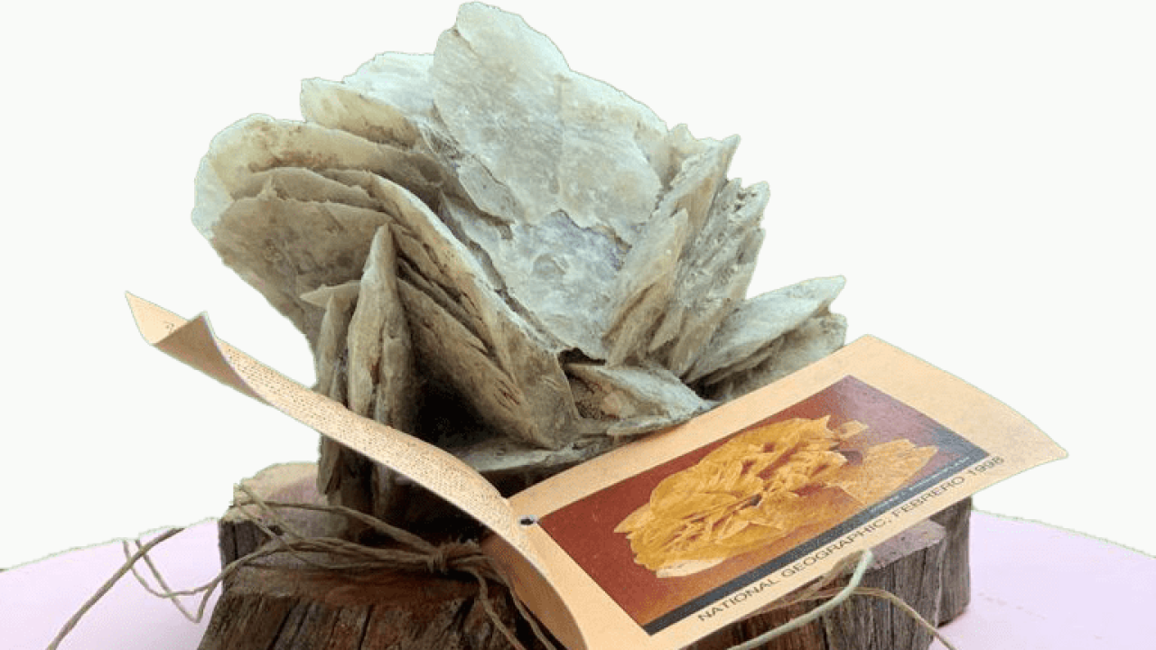 XVII Edición del Certamen de Cortometrajes de Bujaraloz