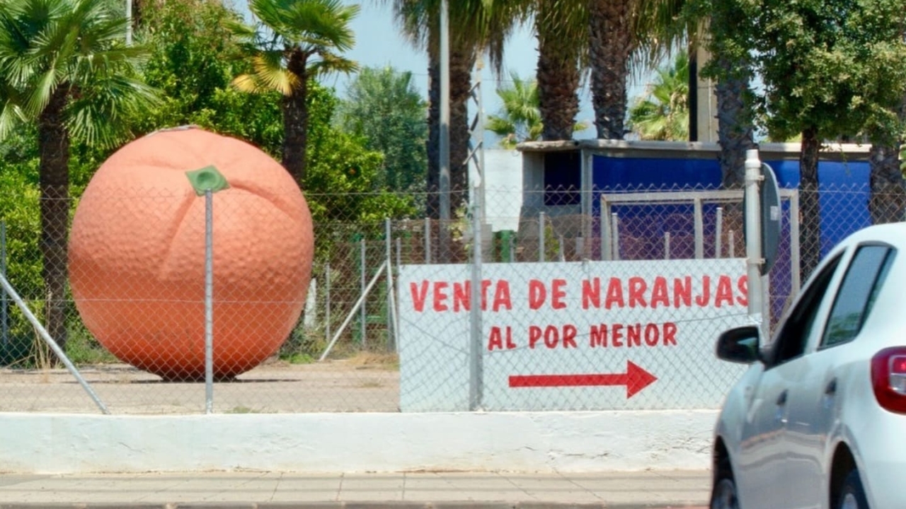 DocsBarcelona - 28º Festival Internacional de Cinema Documental de Barcelona