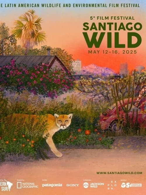 5º Festival de Cine Santiago Wild