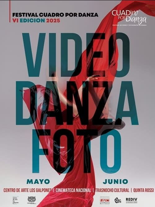 Cuadro por Danza - VI Festival de Video y Fotografía de Danza