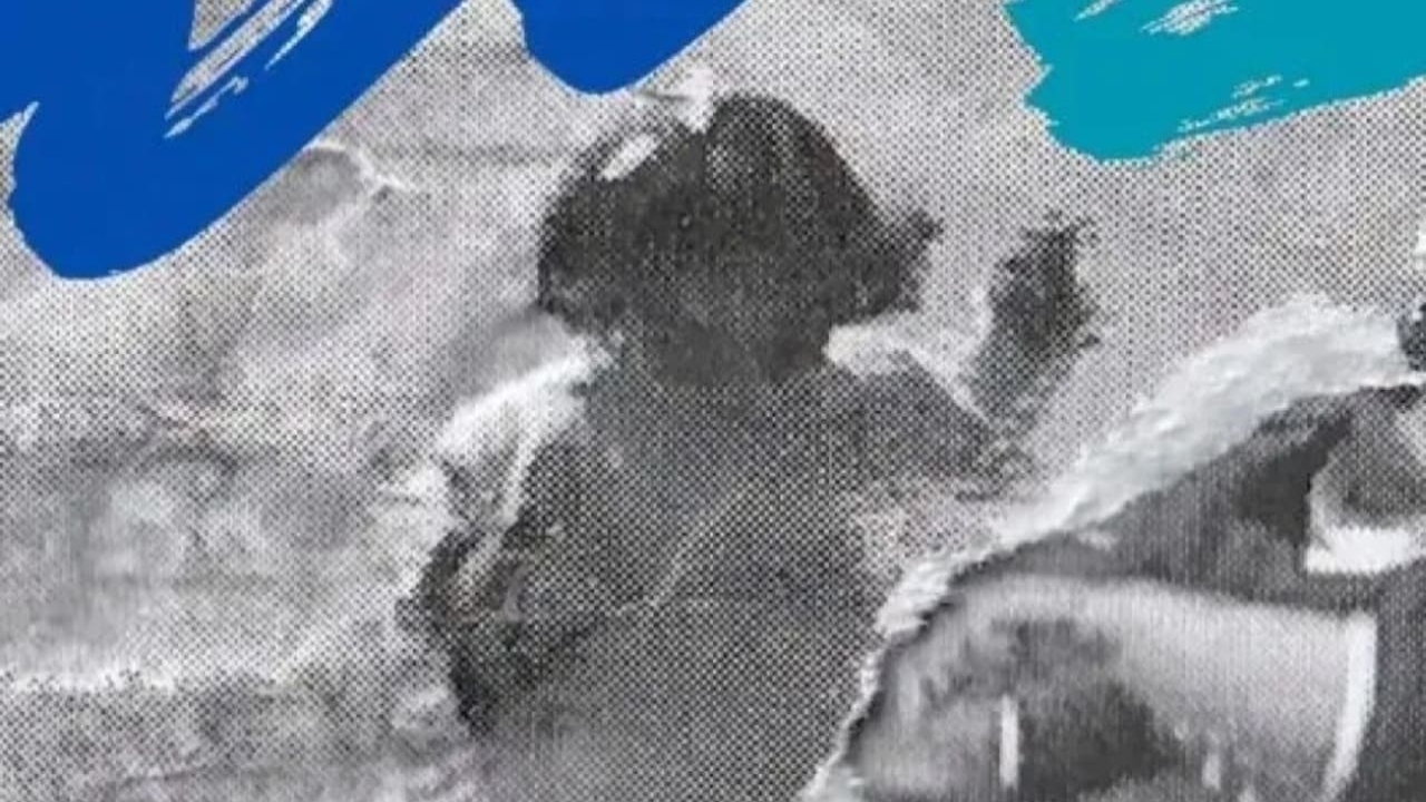 Documenta Madrid - 22 Festival Internacional de Cine