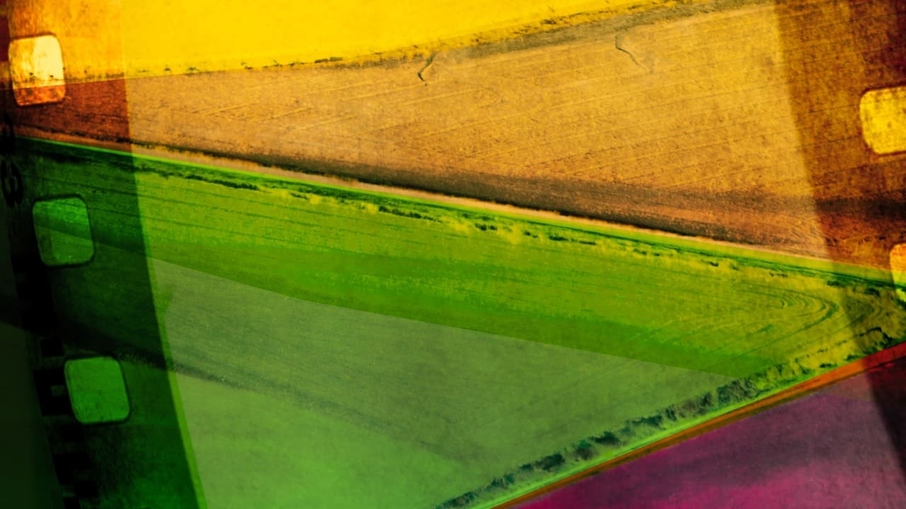 III Certamen de Cortometrajes de Piñel de Arriba