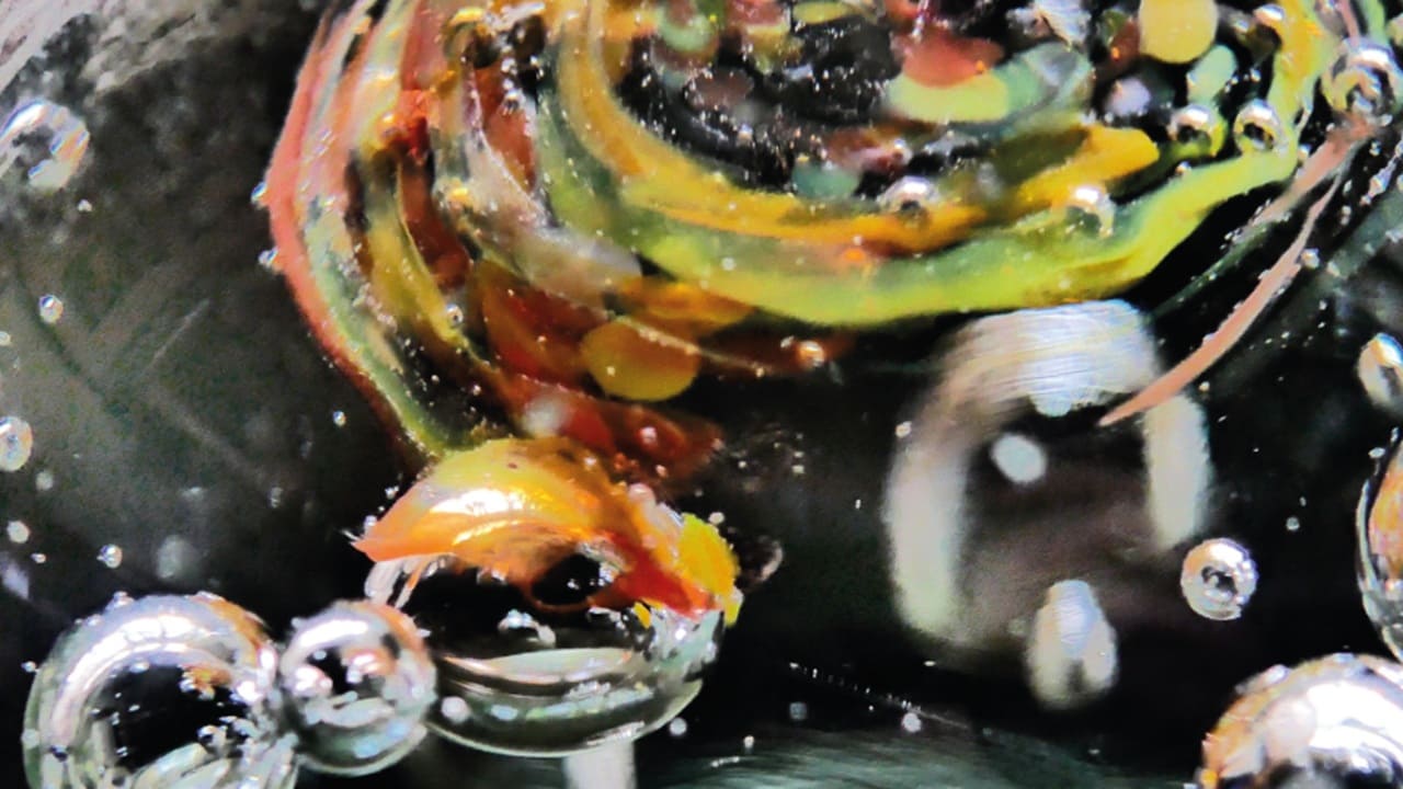 Visionando - II Festival Internacional de Cortos sobre Salud Mental