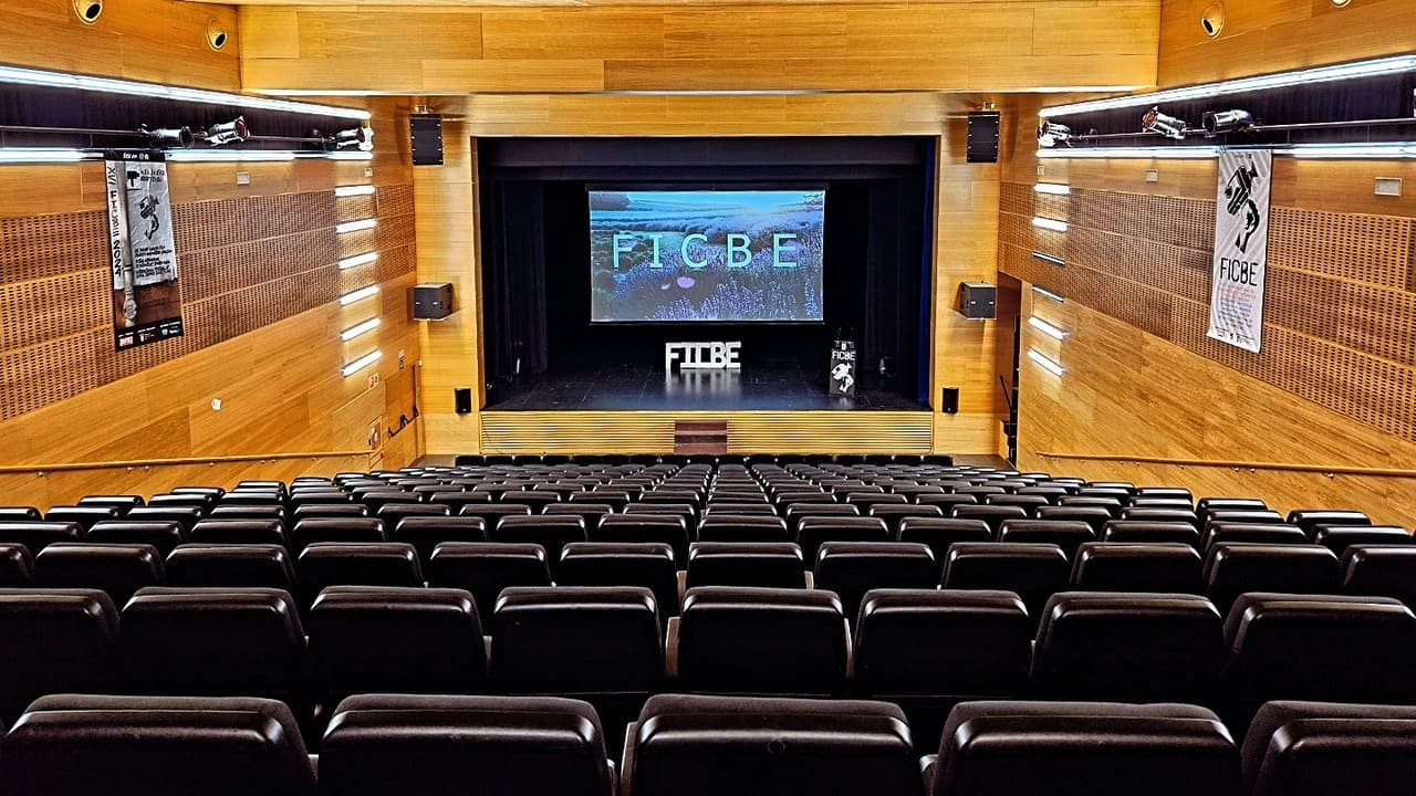 XVII Festival Internacional de Cortometrajes de Temática Social de Berriozar (FICBE)