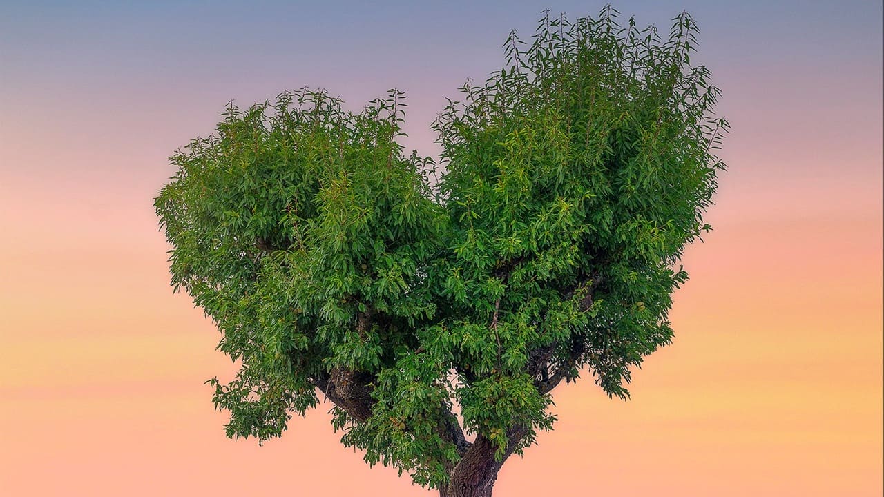 Memorial María Luisa - 36 Certamen Internacional de Fotografía y Vídeo de Montaña, Naturaleza y Aventura Memorial María Luisa - 36 Certamen Internacional de Fotografía y Vídeo de Montaña, Naturaleza y Aventura