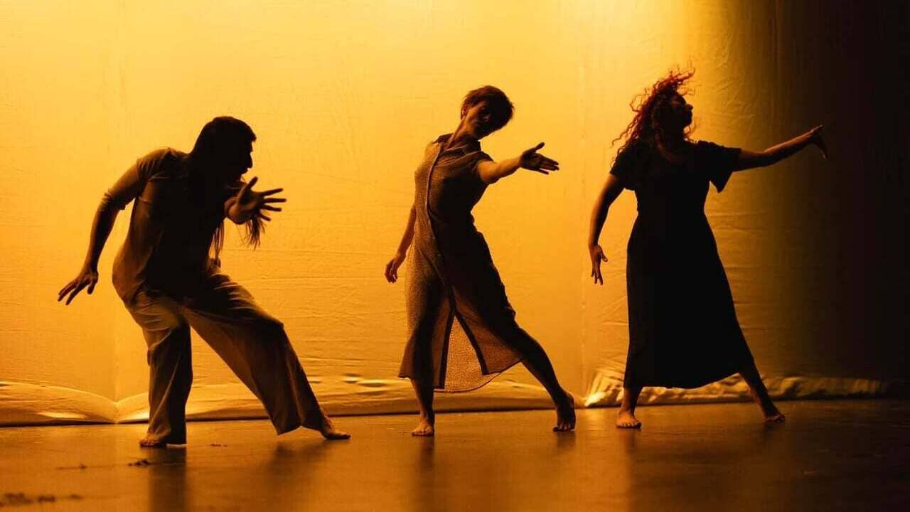 8º Festival Internacional de Cine de Chiloé (FICH) 8º Festival Internacional de Cine de Chiloé (FICH)